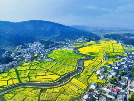江西上栗：农业增“智” 农村增“颜” 农民增收